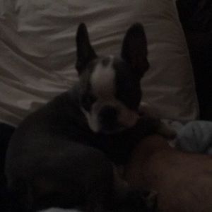 Meet your Posher, Chris